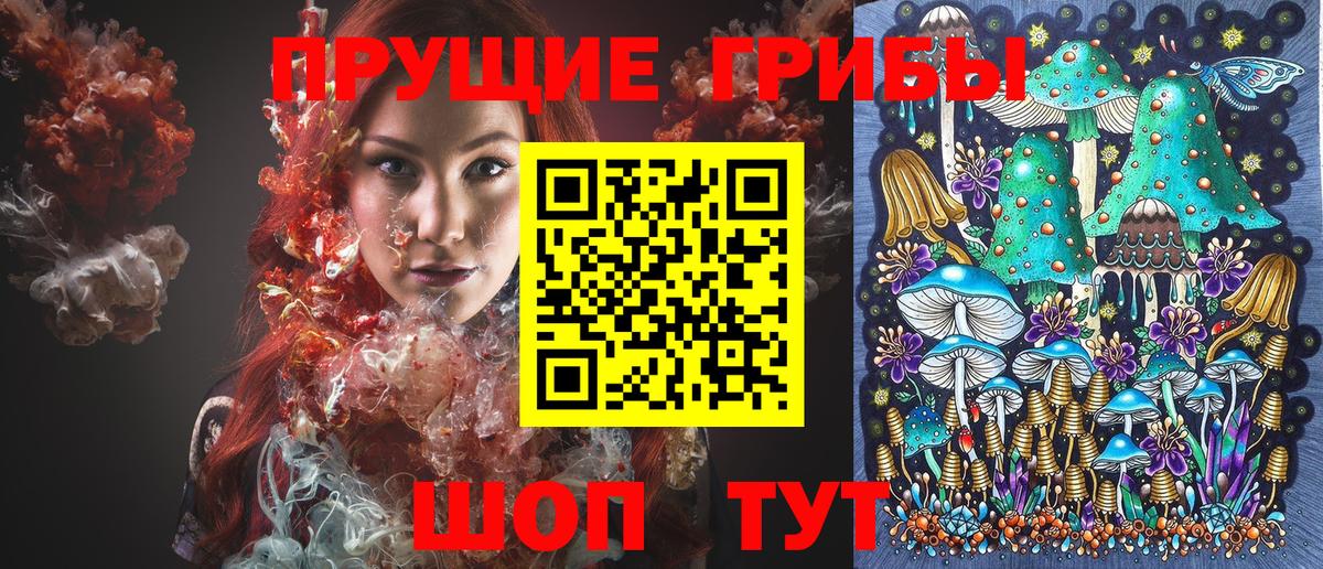 Галлюциногенные грибы мицелий Грозный